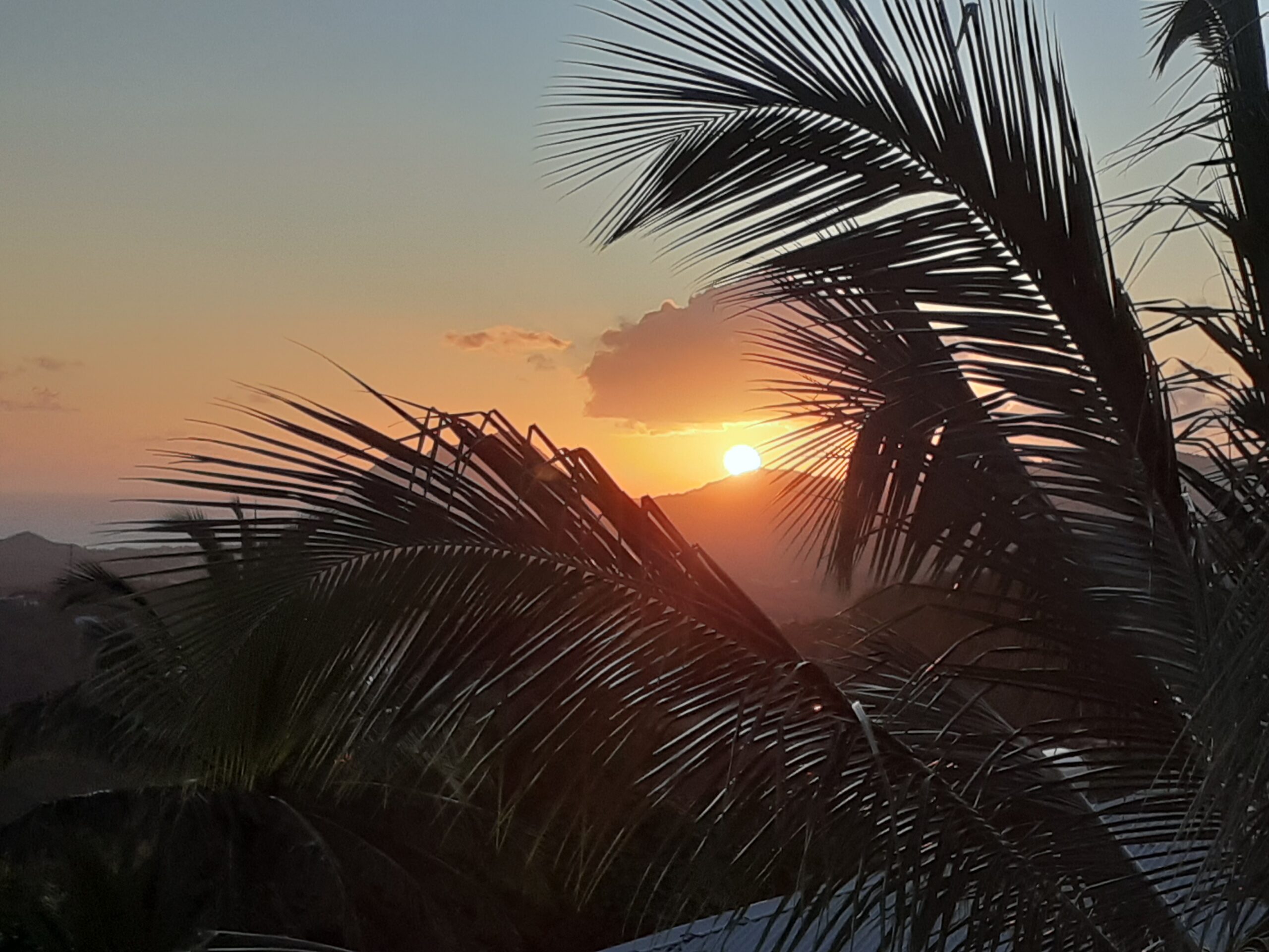 CBI Caribbean