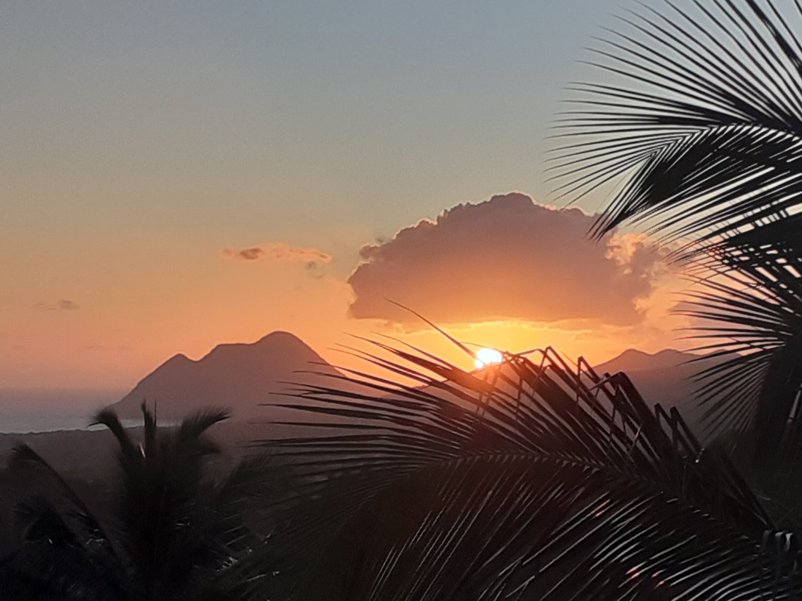 Citizenship by Investment St. Kitts