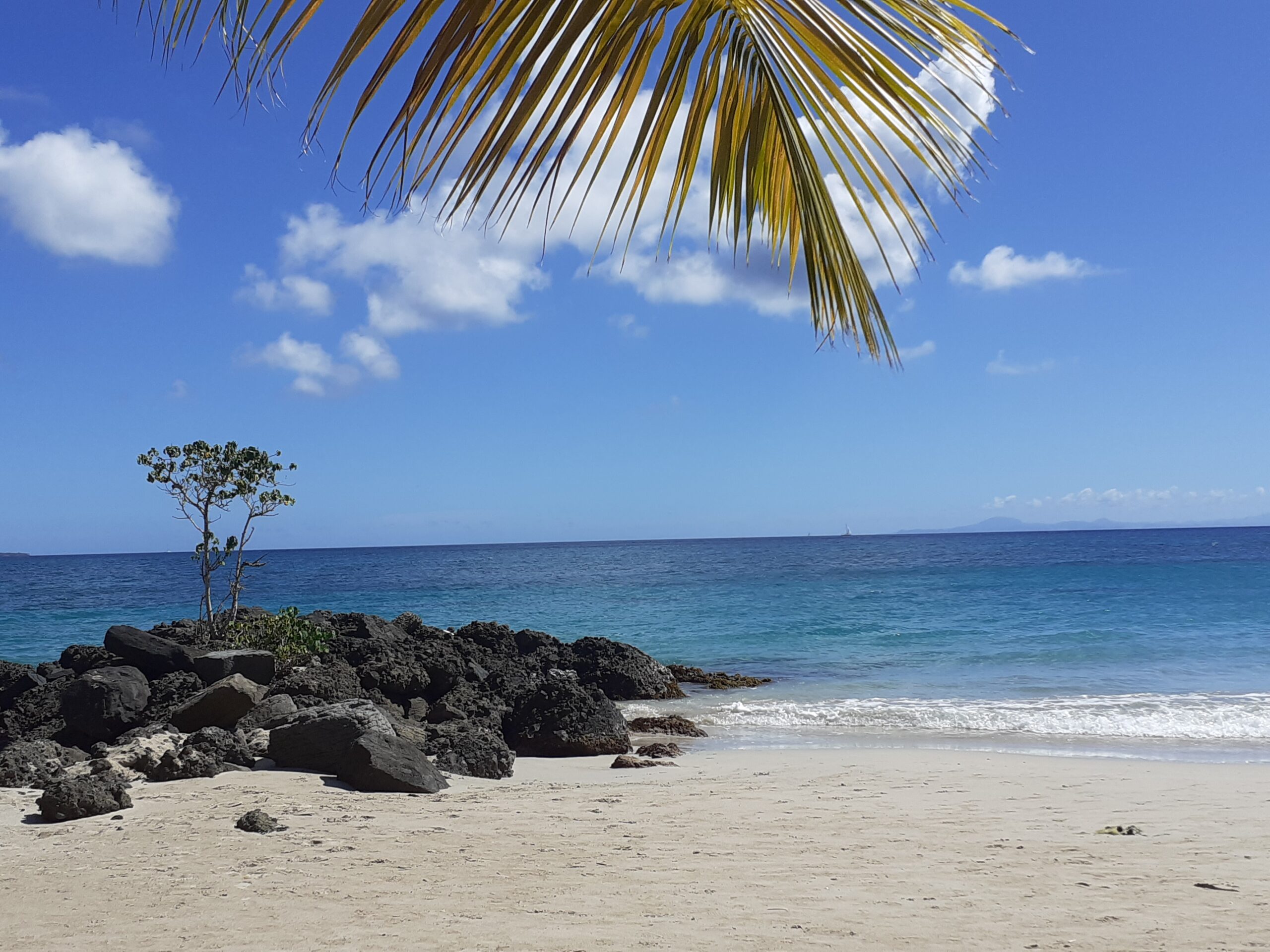 Nevis LLC 